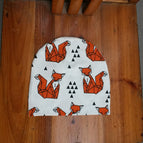 Orange fox / 19cmX20cm